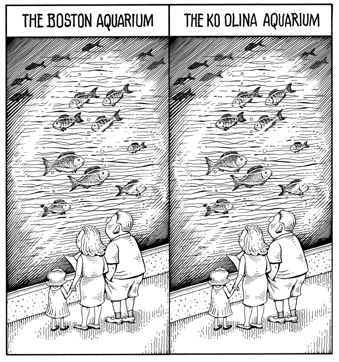 Hawaii, Ko Olina Aquarium editorial cartoon, fish tank cartoon ...