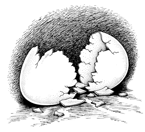 broken egg shell drawing