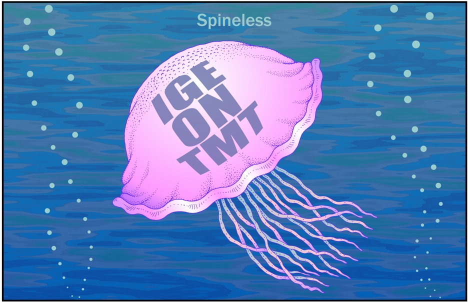 David Ige cartoon, Hawaii Governor David Ige spineless jellyfish on ...